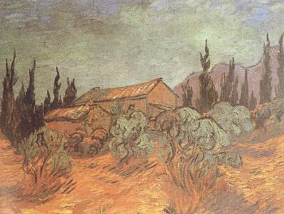 Vincent Van Gogh Wooden Sheds (nn04)